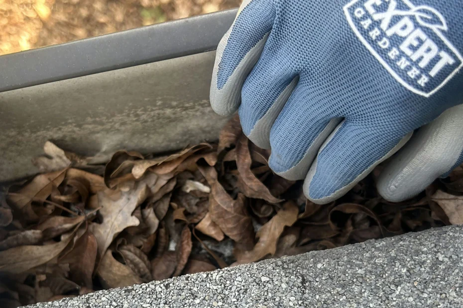 Gutter Cleaning North Charleston