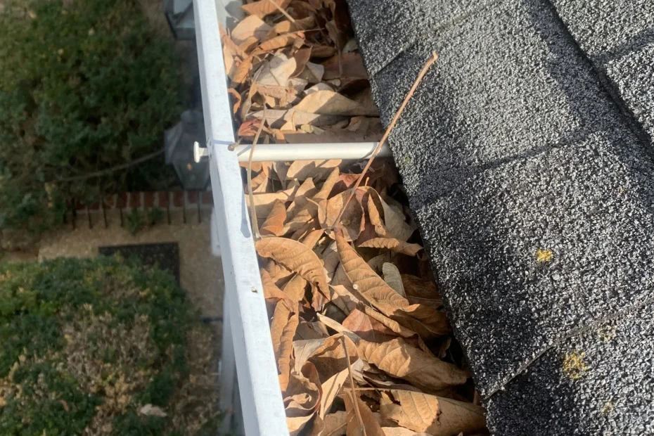 Gutter Cleaning North Charleston