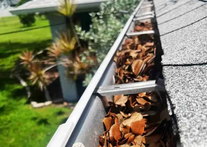 Gutter Cleaning North Charleston home page